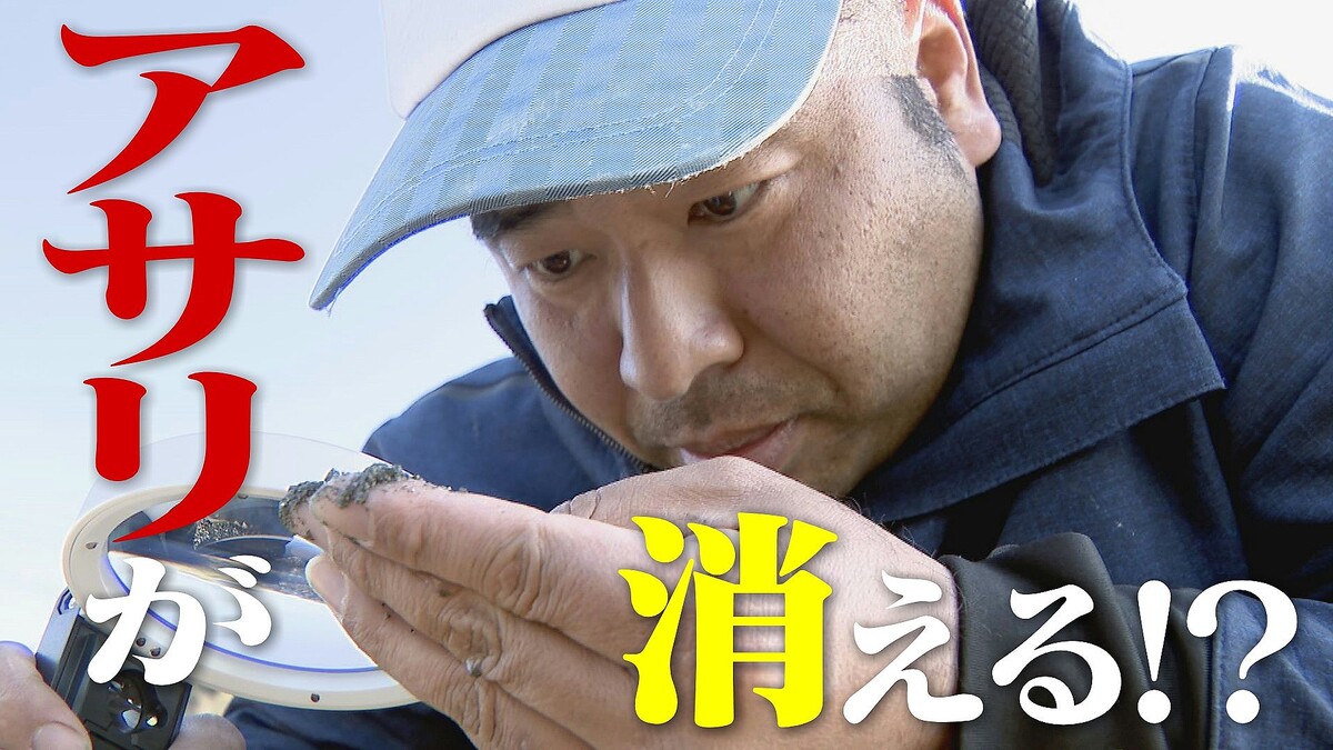 「年収は6分の1」「学生バイトより稼げない」国産アサリが消滅の危機　産地偽装問題から3年　新たな偽装も